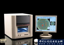 全自動菌落計數(shù)儀 杭州迅數(shù)科技引領(lǐng)信息技術(shù)革新