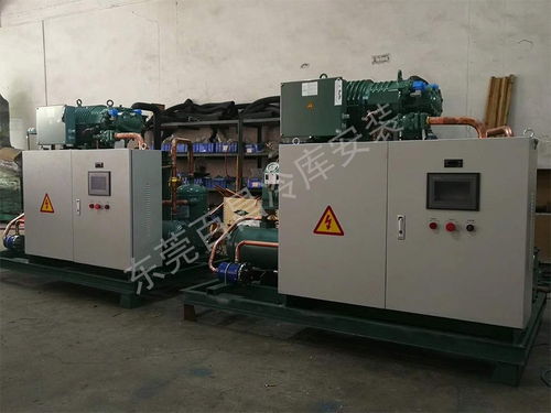 珠海鱸魚加工廠冷庫安裝 構建高品質、高安全性的食品儲存解決方案